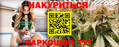 сатива Аргун