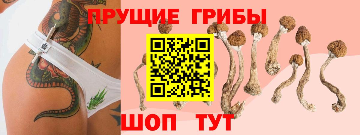 Псилоцибиновые грибы MAGIC MUSHROOMS Астрахань